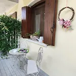 Ortensia San Donà di Piave