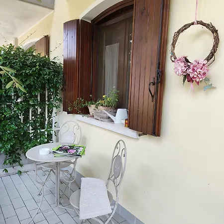 Ortensia San Donà di Piave